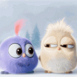 ahchqw的头像-Mimosa